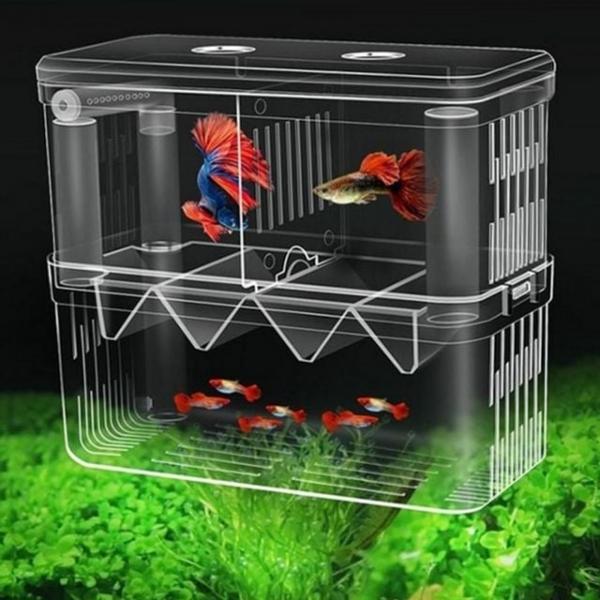 열대어 물고기 어항 치어통 격리통 부화통 플라스틱