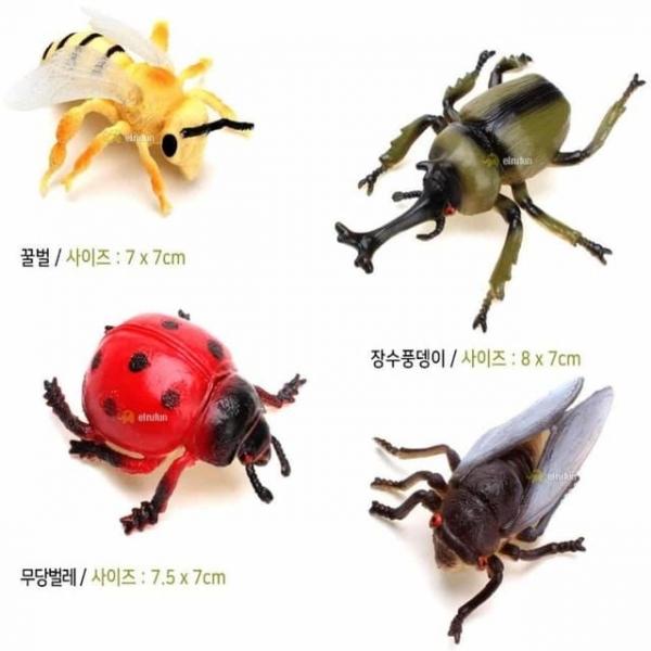 곤충모형 장난감 장난감곤충 피규어장난감 곤충관찰