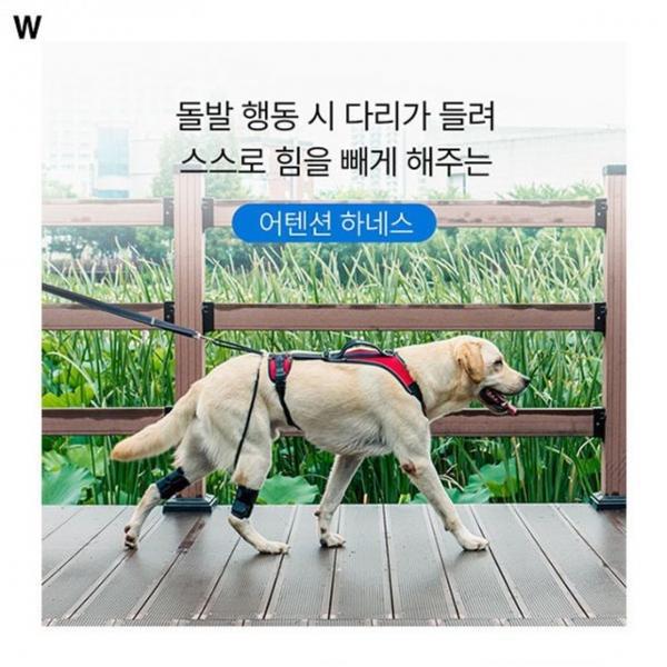 애견아나프니 어텐션하네스