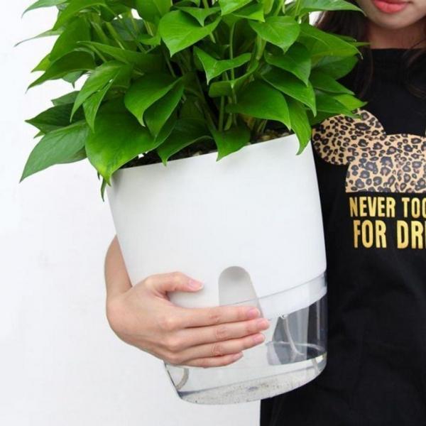 저면 관수 흡수 자동 급수 인테리어 화분 23.5cm 북유럽 모던 특이한 대형 거실