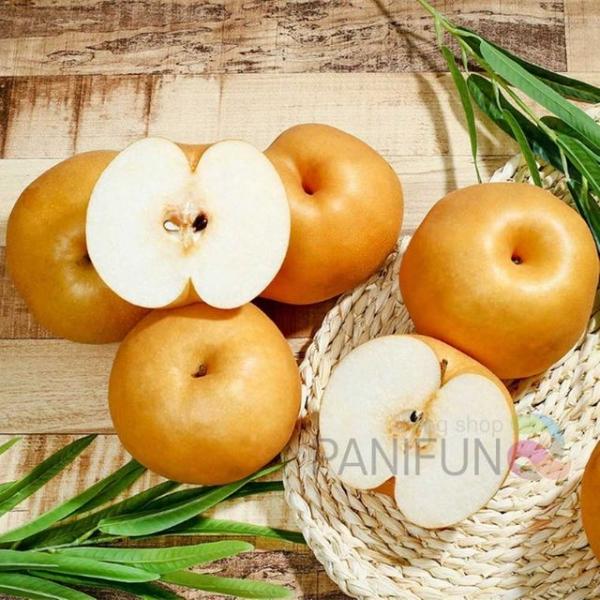 신고배 15kg21-25과 상 엄마명절선물 중소기업명절선물 은사님추석선물 한가위과일 이색명절선물