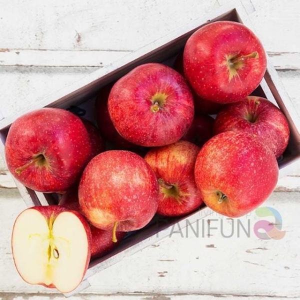 청송부사사과 5kg 14-15과 특 추석선물과일 한가위과일 아빠추석선물 시댁추석선물세트 중소기업명절선물