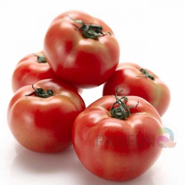 완숙토마토 5kg 3번 회사추석선물 시댁추석선물세트 한가위과일 중소기업추석선물 센스있는추석선물