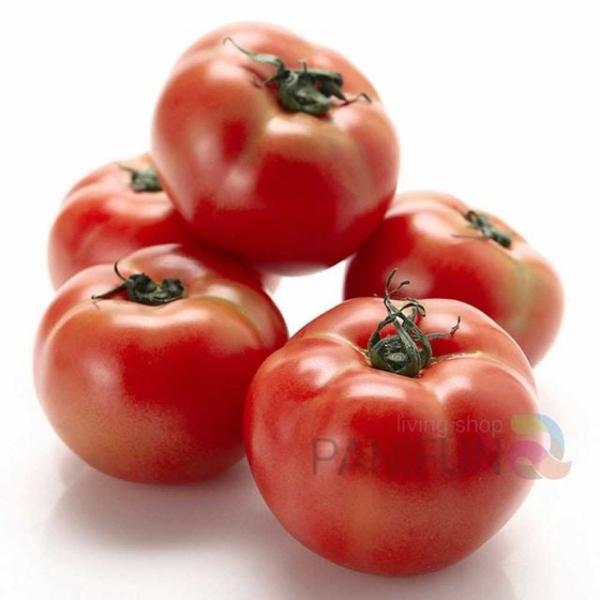 완숙토마토 5kg 2번 중소기업명절선물 중소기업추석선물 한가위과일 시댁추석선물세트 추석선물과일