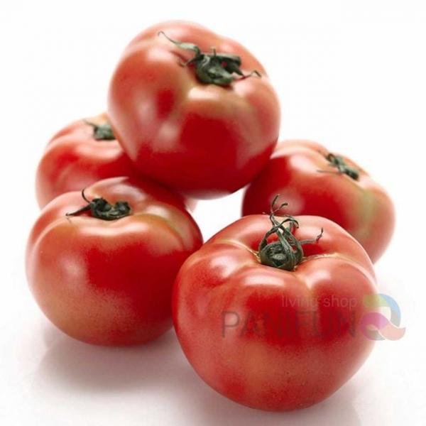 완숙토마토 5kg 1번 아빠추석선물 추석선물과일 중소기업명절선물 이색명절선물 한가위선물