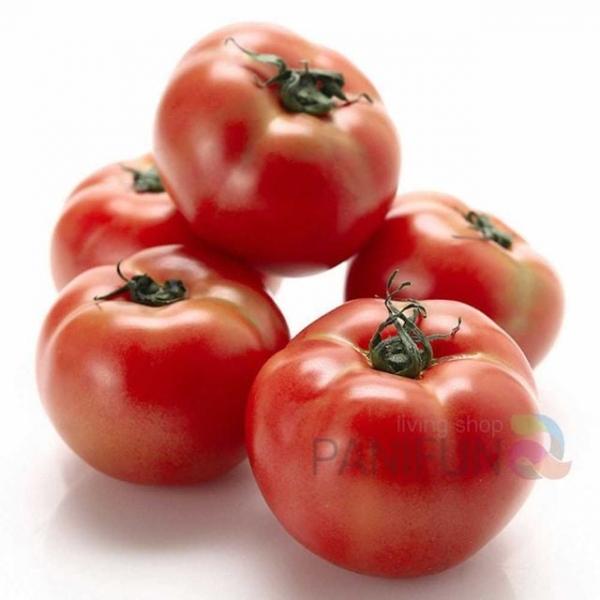 완숙토마토 2.5kg 2번 이색명절선물 색다른추석선물 아빠추석선물 중소기업명절선물 엄마추석선물