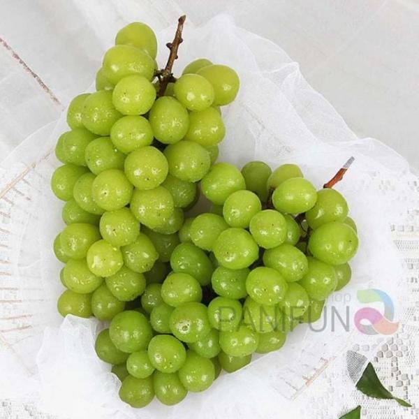 샤인머스켓 2kg 4수 이색명절선물 엄마추석선물 아빠추석선물 시댁추석선물세트 중소기업명절선물