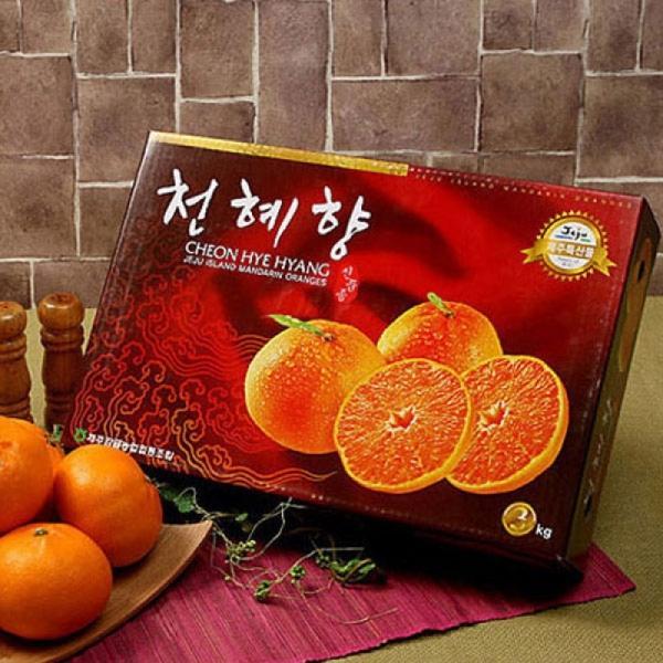 제주 천혜향 선물세트 대과 2kg(5-9수)