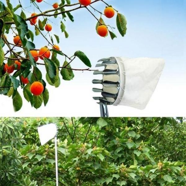 수확철 과일따개 열매따기 과일따기 감따개 원예공구