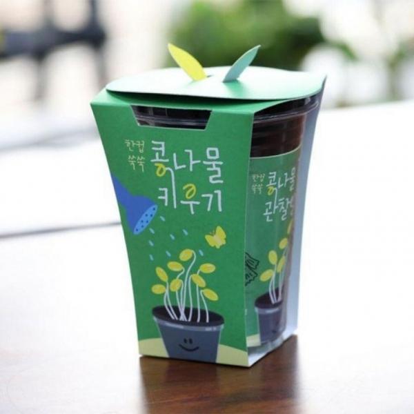 새싹 키트 시루 관찰 일지 재배 한컵 쑥쑥 콩나물 키우기 채소밭 텃밭 화분 미니 정원