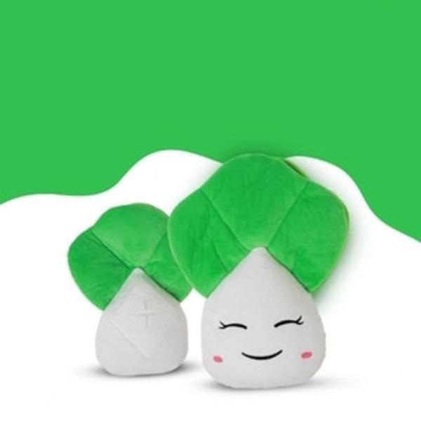 네이처펫 강아지 장난감 노즈워크 트릿 장난감 배추
