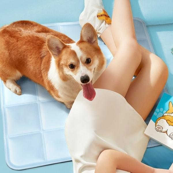 강아지 쿨매트 반려묘 쿨 방석