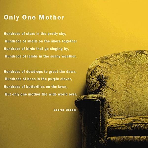 Only One Mother 레터링스티커 포인트 그래픽 벽장식
