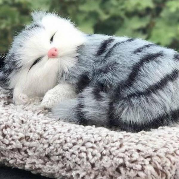 (3개세트) 리얼인형 미니고양이 활성탄 탈취제 차량용인형 실내용