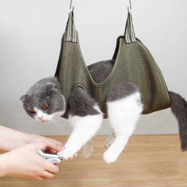 고양이 발톱깎기 미용해먹