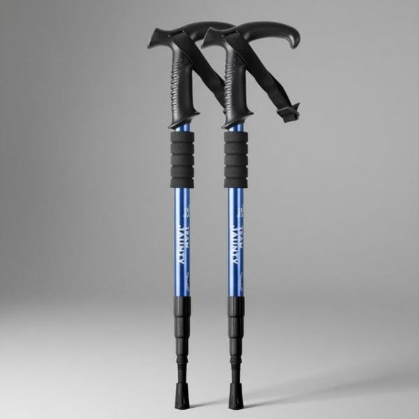 등산 스틱 T자형 워킹 폴 2P 세트 트레킹 지팡이 보행 보조 용품