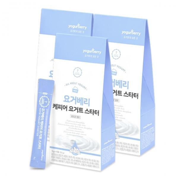 요거베리 케피어 유산균 스타터 티벳버섯 효모 유산균 종균 30포