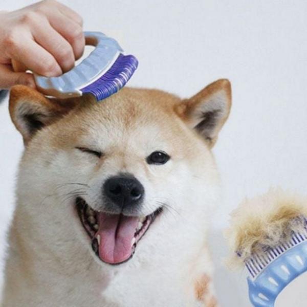 마사지 강아지 털 제거 빗 슬리커 고양이 털 제거 빗