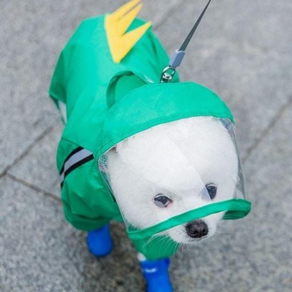 일체형 강아지 우비 하네스 강아지 레인코트 소형견 비옷