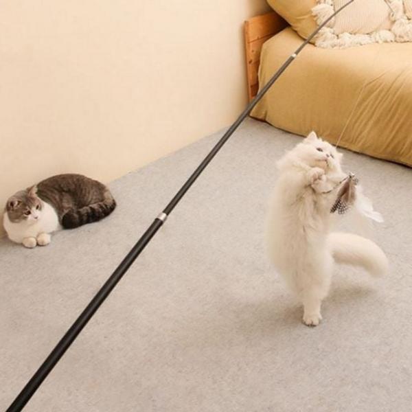 접이식 고양이 낚시대 캣롱 고양이 롱 낚시대 리필 4단
