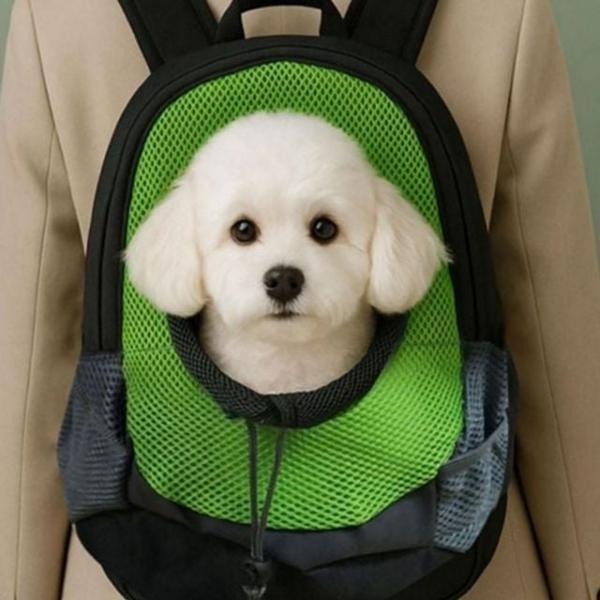 반려동물 강아지 이동가방 백팩 고양이 이동가방 산책 외출용 캐리어 메쉬