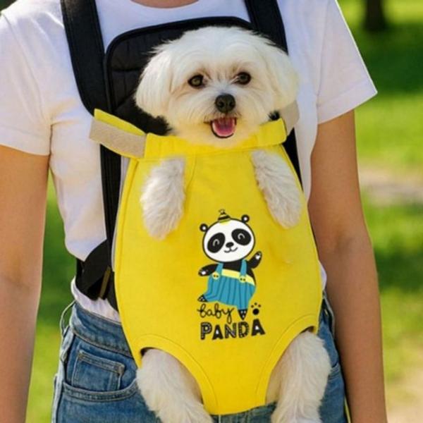 반려동물 강아지 이동가방 백팩 강아지산책 고양이 메쉬 외출