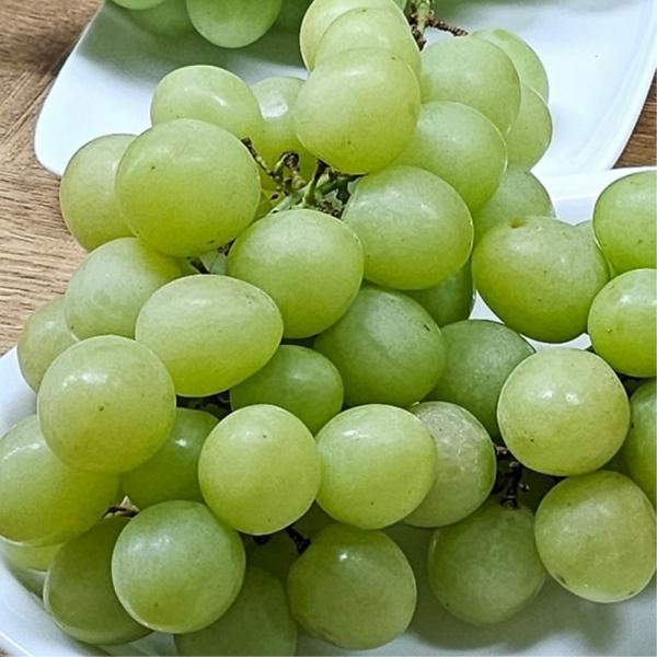 오톰크리스피  청포도 1kg