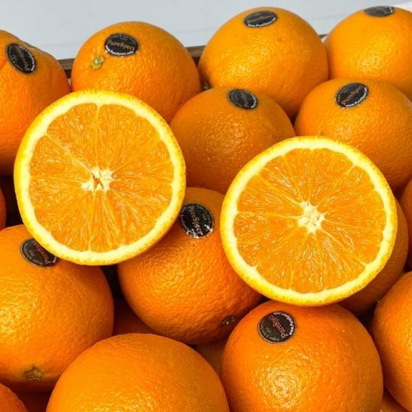 블랙라벨 오렌지 중소과 5개