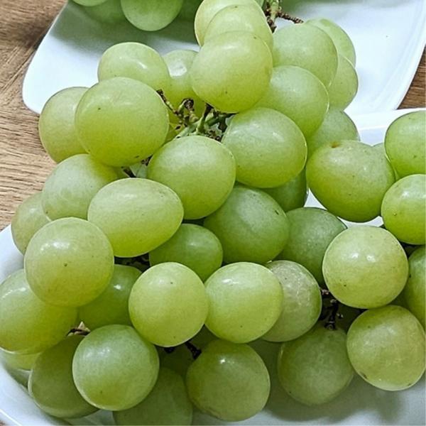 오톰크리스피  청포도 2kg