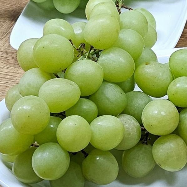 오톰크리스피  청포도 1kg