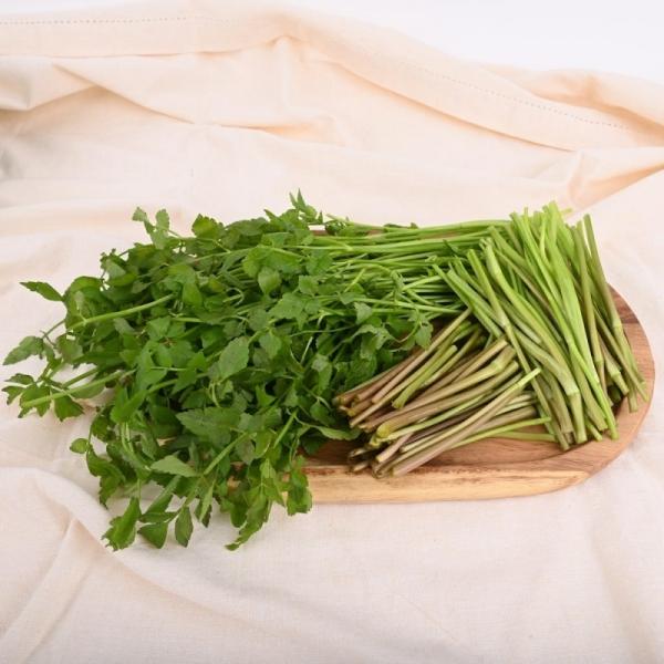 입안 가득 퍼지는 향긋한 풍미 청도 한재 미나리 4kg