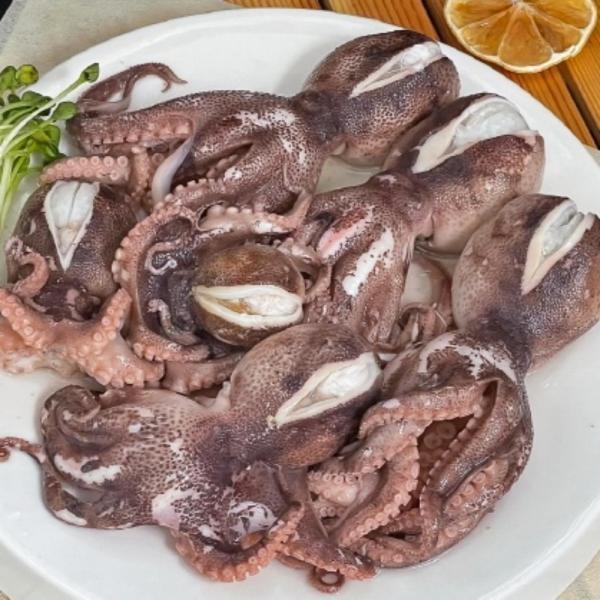 알쭈꾸미 1kg