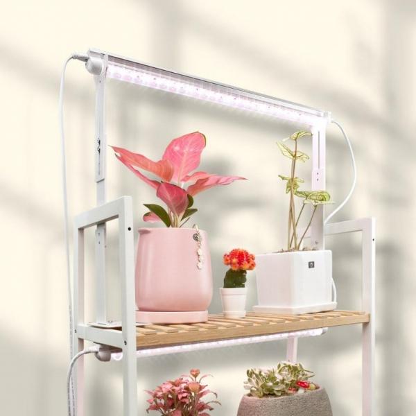 식물성 장용 LED 전구 받침대 조립식 철재 스탠드