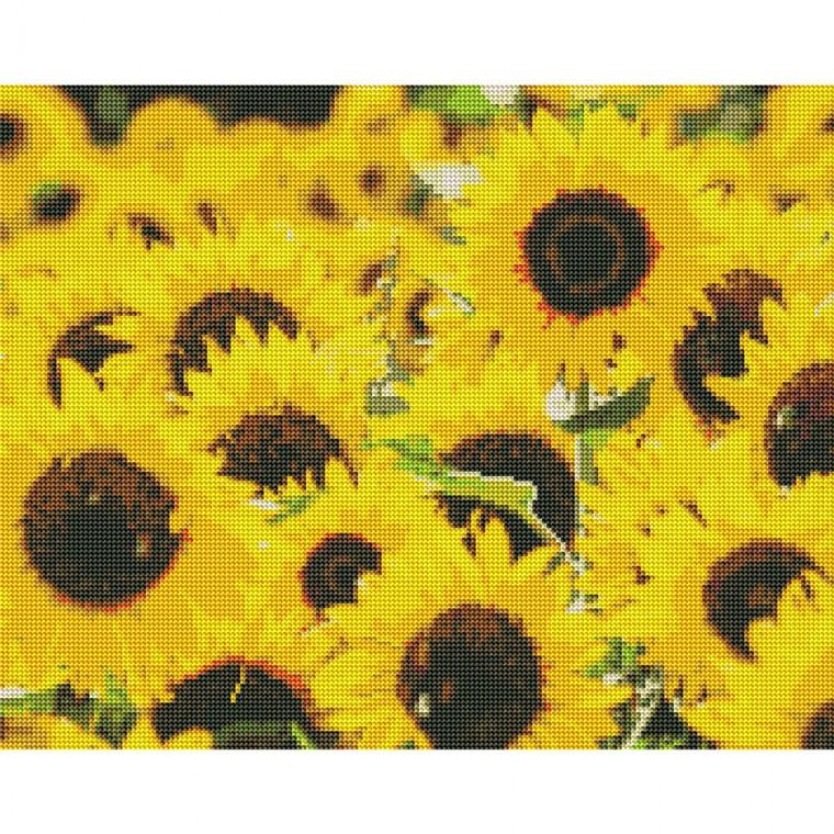 하모니아트 DIY보석십자수 해바라기 시리즈 캔버스형 40X50 해바라기 들판