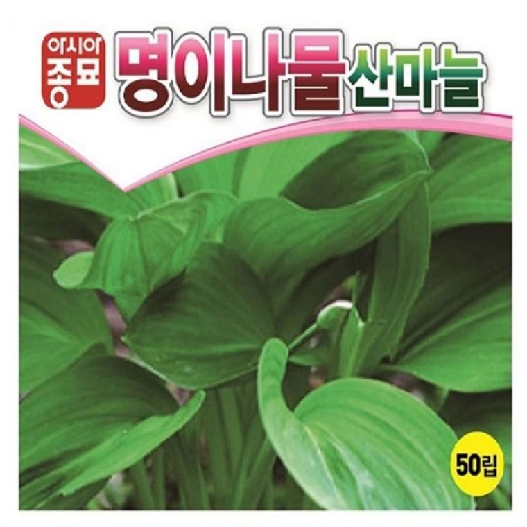 산마늘 씨앗 명이나물 50립 산채 모종 종자 종묘