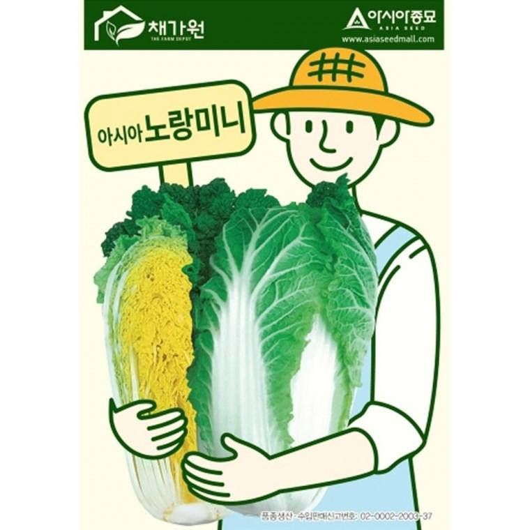 배추 씨앗 노랑 미니 1000립 미니쌈 종자 가지 종묘 모종