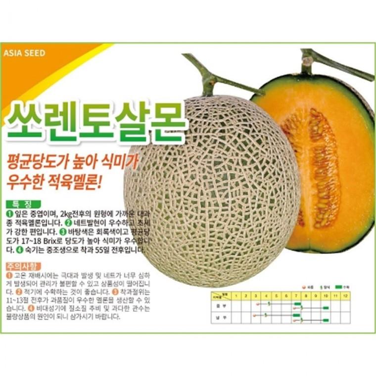 멜론 씨앗 쏘렌토 살몬 10립 메론 종자 가지 종묘 모종