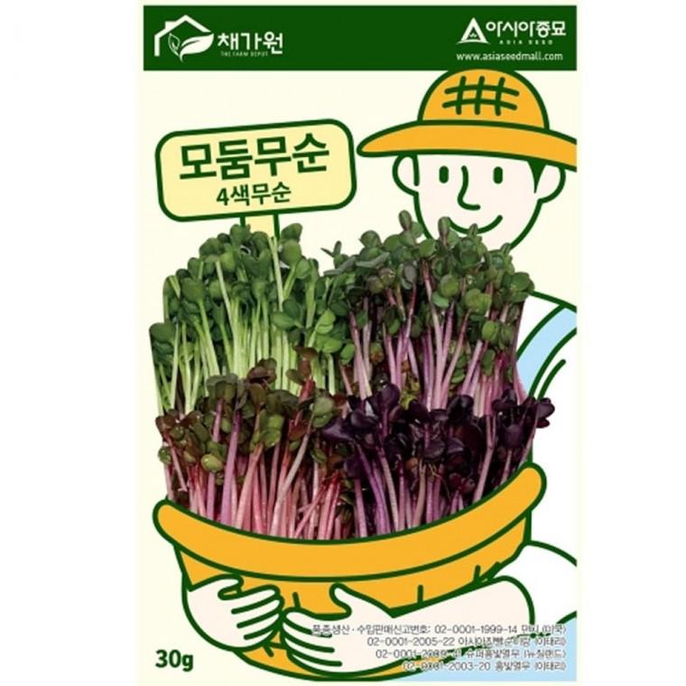 무씨앗 모둠 무순 30g 4색 종자 새싹 채소 가지 종묘 모종