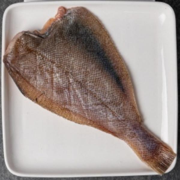 국내산 반건조 참가자미 10미