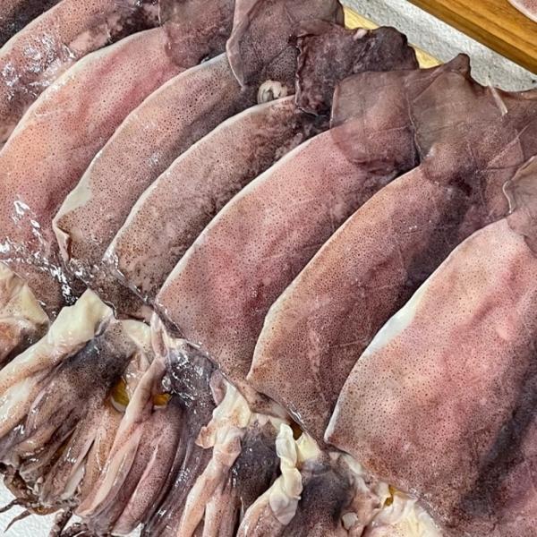국내산 반건조 오징어 10미
