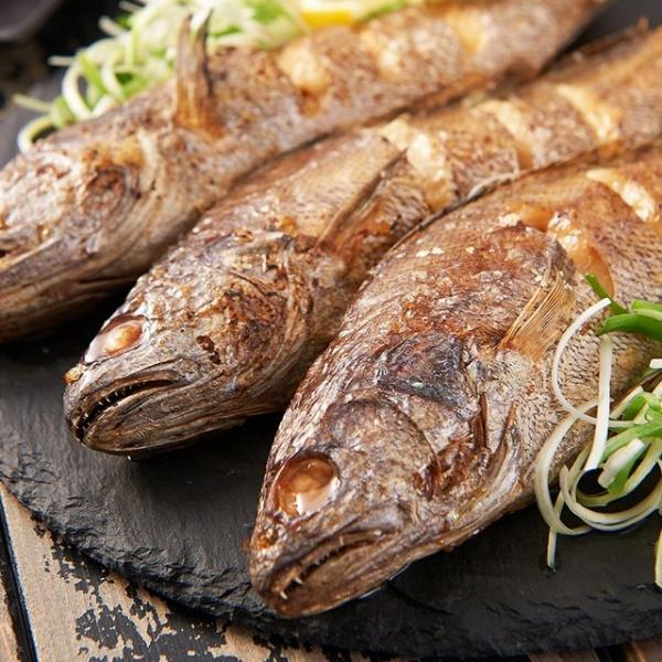 영광법성포 보리 굴비 특대 5미 참굴비 반건조 생선