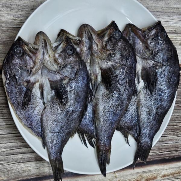 반건조 우럭 6미