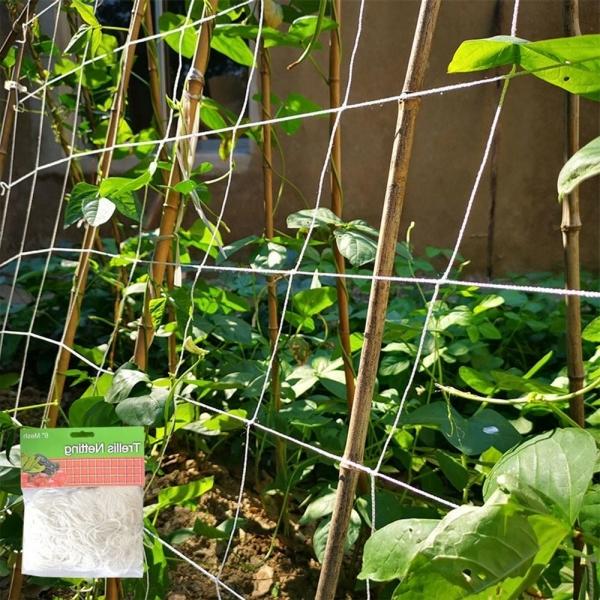 잔솔 넝쿨 지지대 텃밭 오이 고추 덩굴 식물 새그물망