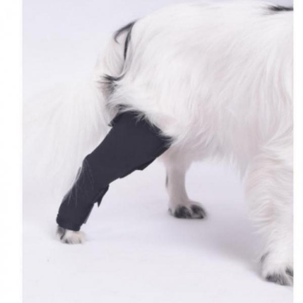 슬개골 보호대 강아지 슬개골보호대 애견 다리보호대 동물보호대 강아지 반려