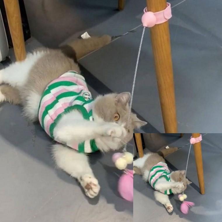 고양이 장난감 낚시대 애묘장난감 고양이장난감