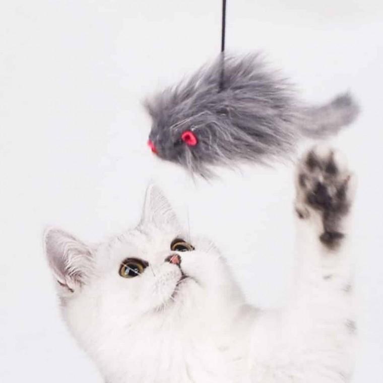 고양이 마우스 장난감 고양이낚시장난감 고양이장난감