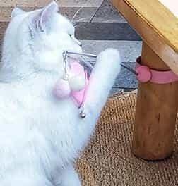 고양이 깃털 낚시대 장난감 고양이장난감 애벌레낚시대 고양이놀이