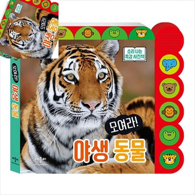 모여라 야생동물 소리나는 촉감사진책 촉감놀이 신생아장난감 아기헝겊책한글 헝겊책세트