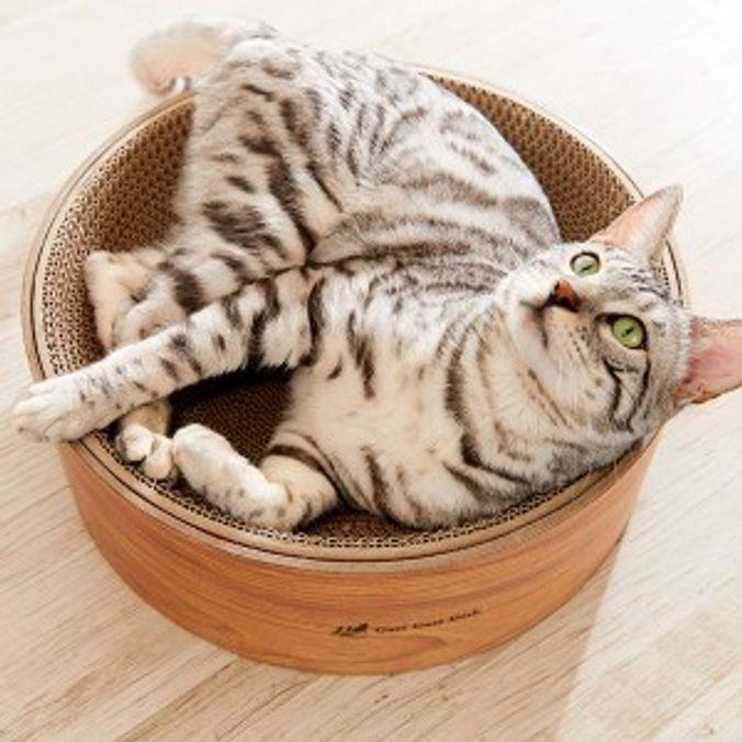 스크래쳐 고양이 베드 디쉬 스크래치 장난감 고양이타워 켓타워