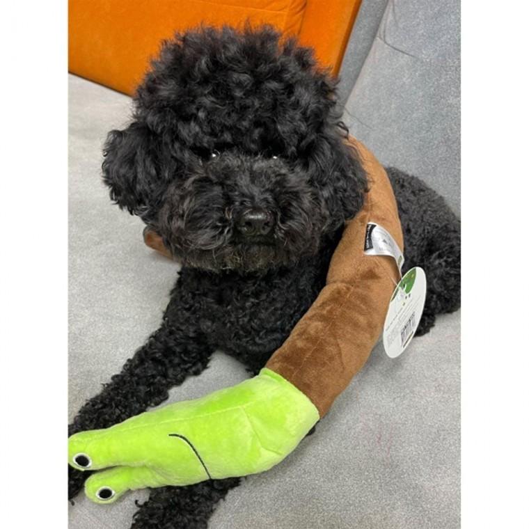 강아지 노즈워크 튼튼한 장난감 달팽이 1P 봉제 인형 토이